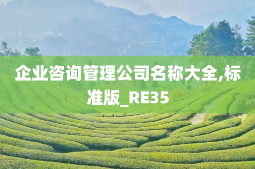 企业咨询管理公司名称大全,标准版_RE35