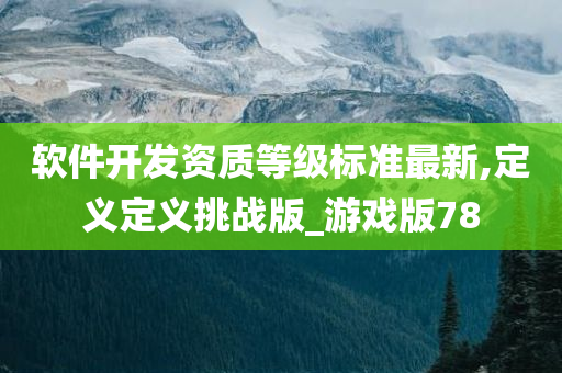 软件开发资质等级标准最新,定义定义挑战版_游戏版78