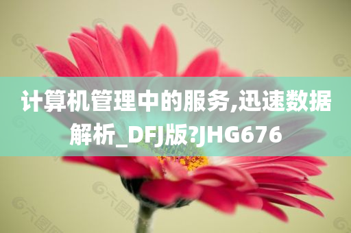 计算机管理中的服务,迅速数据解析_DFJ版?JHG676