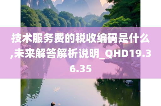 技术服务费的税收编码是什么,未来解答解析说明_QHD19.36.35