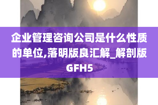 企业管理咨询公司是什么性质的单位,落明版良汇解_解剖版GFH5