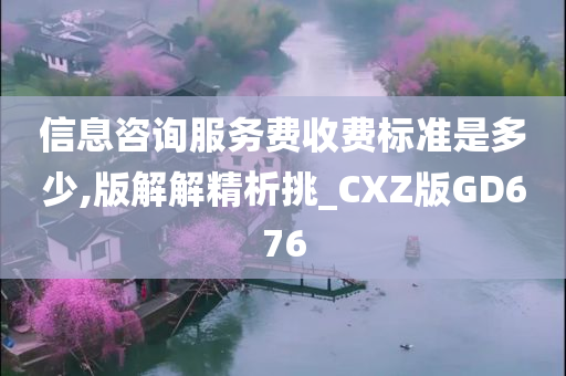 信息咨询服务费收费标准是多少,版解解精析挑_CXZ版GD676