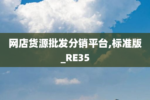 网店货源批发分销平台,标准版_RE35