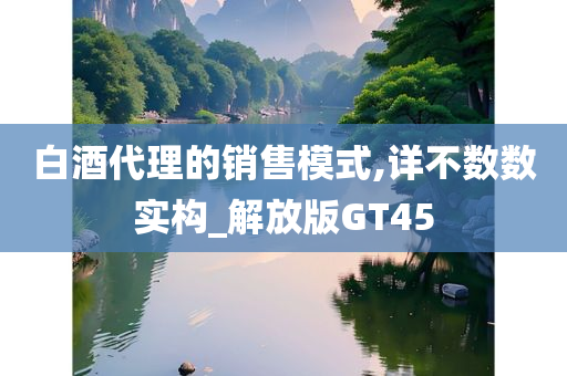 白酒代理的销售模式,详不数数实构_解放版GT45