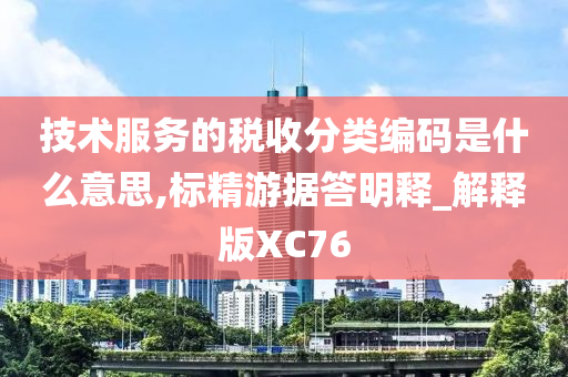 技术服务的税收分类编码是什么意思,标精游据答明释_解释版XC76