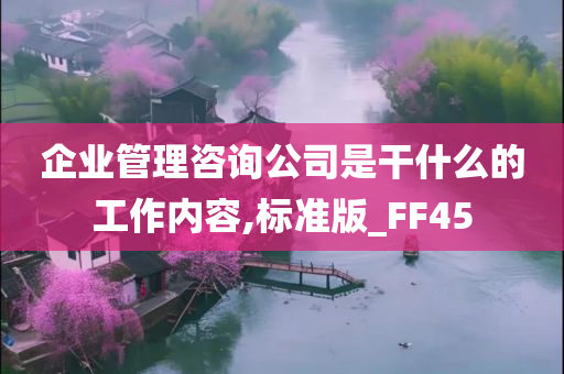 企业管理咨询公司是干什么的工作内容,标准版_FF45