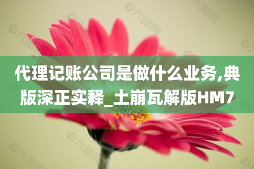 代理记账公司是做什么业务,典版深正实释_土崩瓦解版HM7