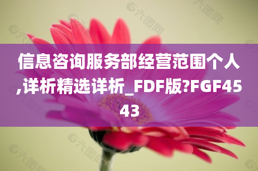 信息咨询服务部经营范围个人,详析精选详析_FDF版?FGF4543