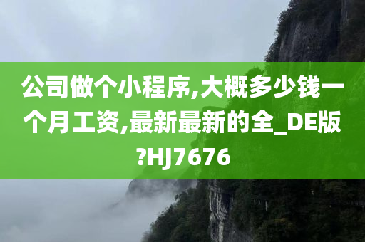 公司做个小程序,大概多少钱一个月工资,最新最新的全_DE版?HJ7676