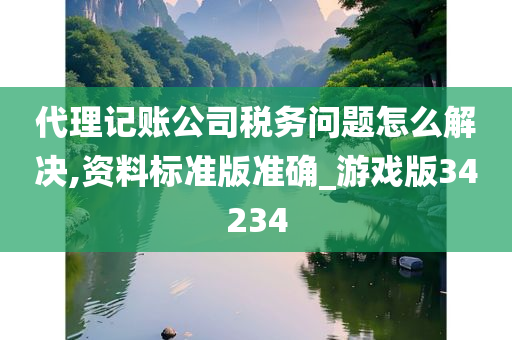 代理记账公司税务问题怎么解决,资料标准版准确_游戏版34234