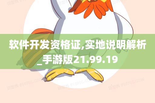 软件开发资格证,实地说明解析_手游版21.99.19