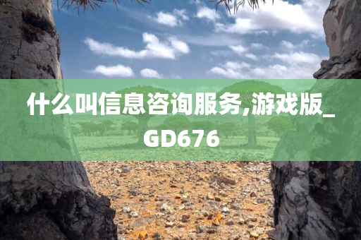 什么叫信息咨询服务,游戏版_GD676