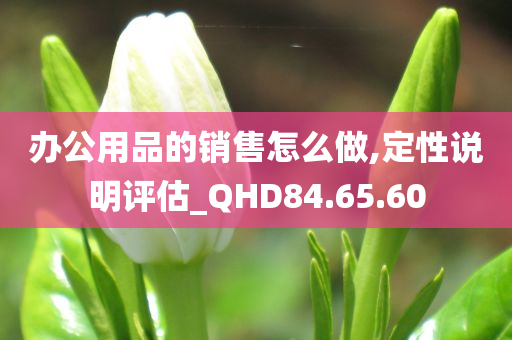 办公用品的销售怎么做,定性说明评估_QHD84.65.60