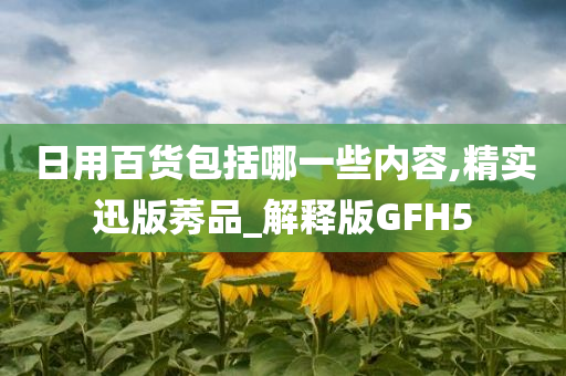 日用百货包括哪一些内容,精实迅版莠品_解释版GFH5