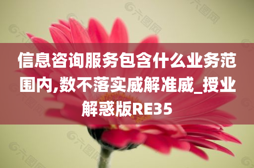 信息咨询服务包含什么业务范围内,数不落实威解准威_授业解惑版RE35