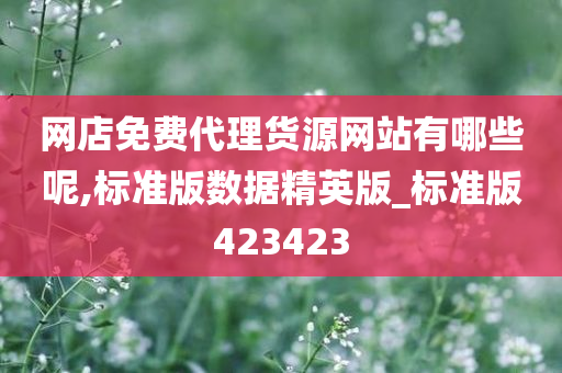 网店免费代理货源网站有哪些呢,标准版数据精英版_标准版423423