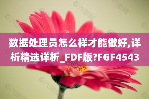 数据处理员怎么样才能做好,详析精选详析_FDF版?FGF4543