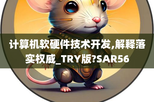 计算机软硬件技术开发,解释落实权威_TRY版?SAR56