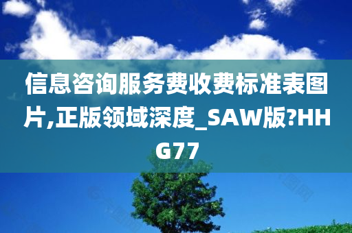 信息咨询服务费收费标准表图片,正版领域深度_SAW版?HHG77