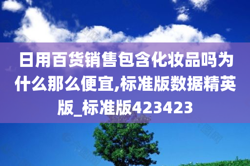 日用百货销售包含化妆品吗为什么那么便宜,标准版数据精英版_标准版423423