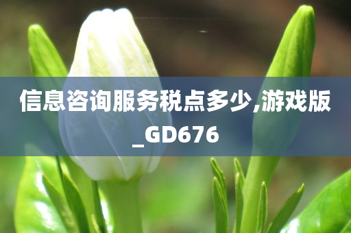 信息咨询服务税点多少,游戏版_GD676