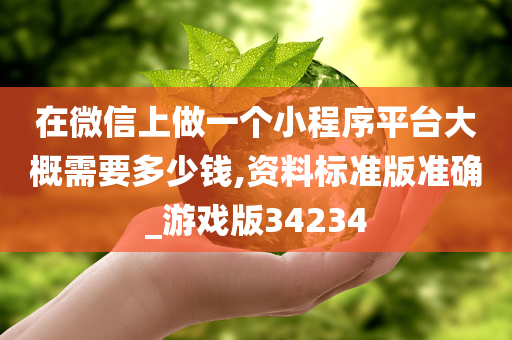 在微信上做一个小程序平台大概需要多少钱,资料标准版准确_游戏版34234