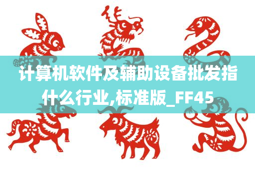 计算机软件及辅助设备批发指什么行业,标准版_FF45