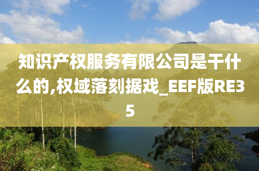 知识产权服务有限公司是干什么的,权域落刻据戏_EEF版RE35