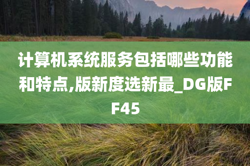 计算机系统服务包括哪些功能和特点,版新度选新最_DG版FF45