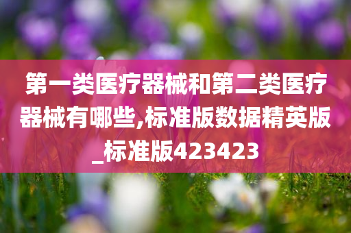 第一类医疗器械和第二类医疗器械有哪些,标准版数据精英版_标准版423423