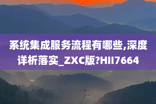 系统集成服务流程有哪些,深度详析落实_ZXC版?HII7664