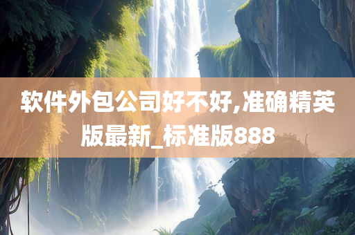 软件外包公司好不好,准确精英版最新_标准版888