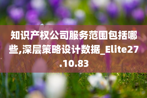 知识产权公司服务范围包括哪些,深层策略设计数据_Elite27.10.83