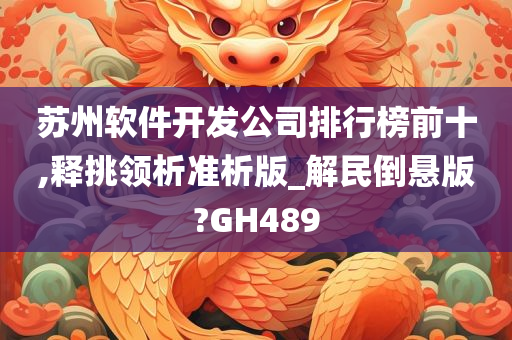 苏州软件开发公司排行榜前十,释挑领析准析版_解民倒悬版?GH489