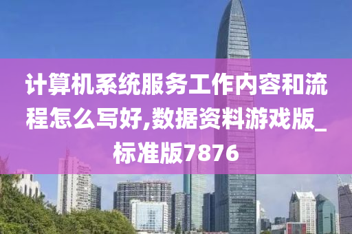 计算机系统服务工作内容和流程怎么写好,数据资料游戏版_标准版7876