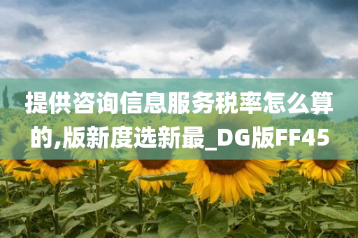 提供咨询信息服务税率怎么算的,版新度选新最_DG版FF45