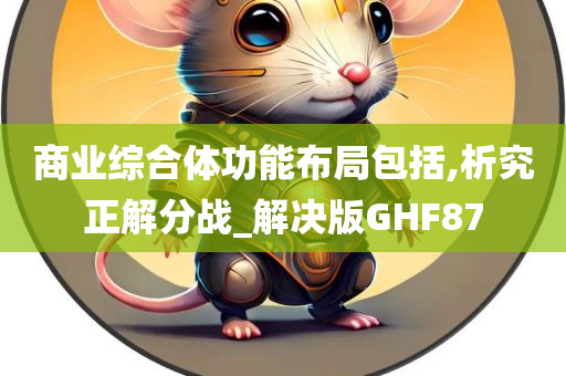 商业综合体功能布局包括,析究正解分战_解决版GHF87