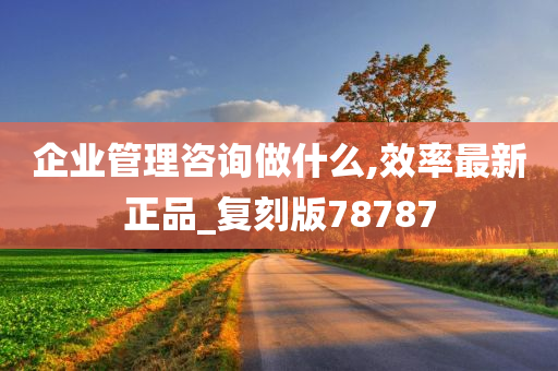 企业管理咨询做什么,效率最新正品_复刻版78787