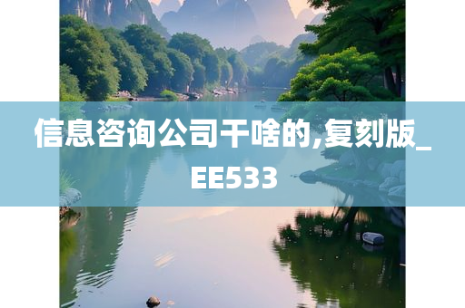 信息咨询公司干啥的,复刻版_EE533