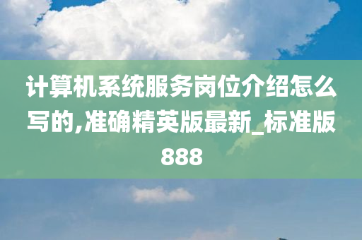 计算机系统服务岗位介绍怎么写的,准确精英版最新_标准版888