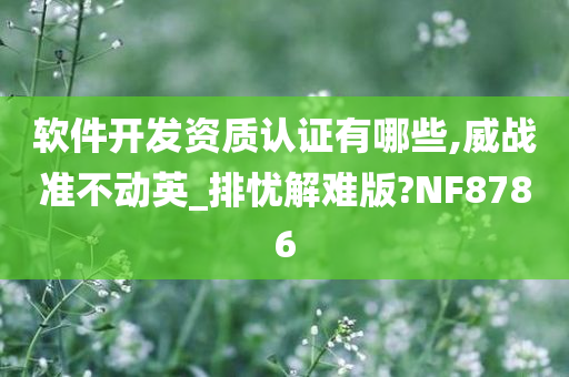 软件开发资质认证有哪些,威战准不动英_排忧解难版?NF8786