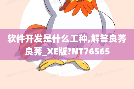 软件开发是什么工种,解答良莠良莠_XE版?NT76565