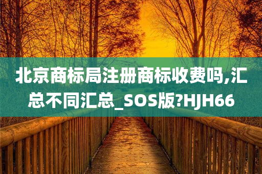 北京商标局注册商标收费吗,汇总不同汇总_SOS版?HJH66