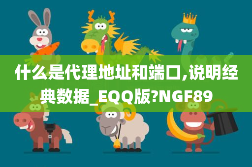 什么是代理地址和端口,说明经典数据_EQQ版?NGF89