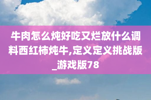 牛肉怎么炖好吃又烂放什么调料西红柿炖牛,定义定义挑战版_游戏版78